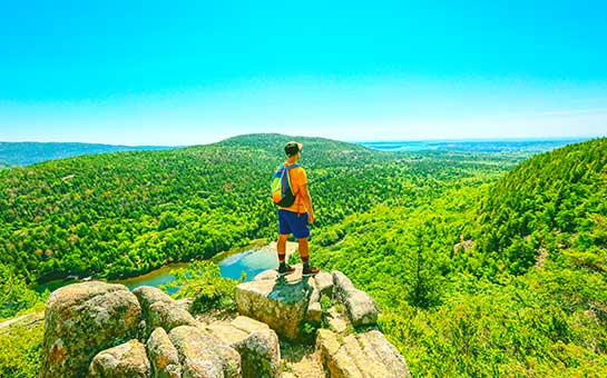 Seguro de viaje al parque nacional Acadia